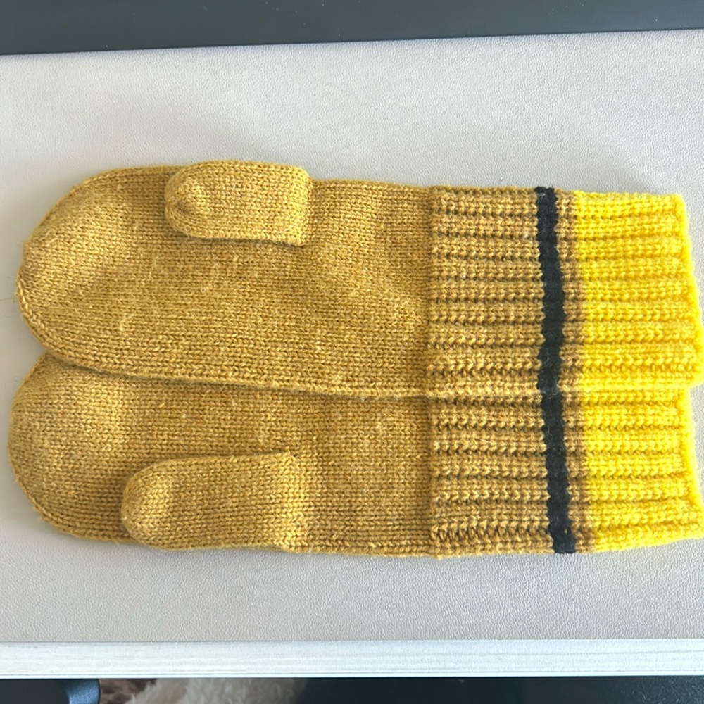 Marni Mittens